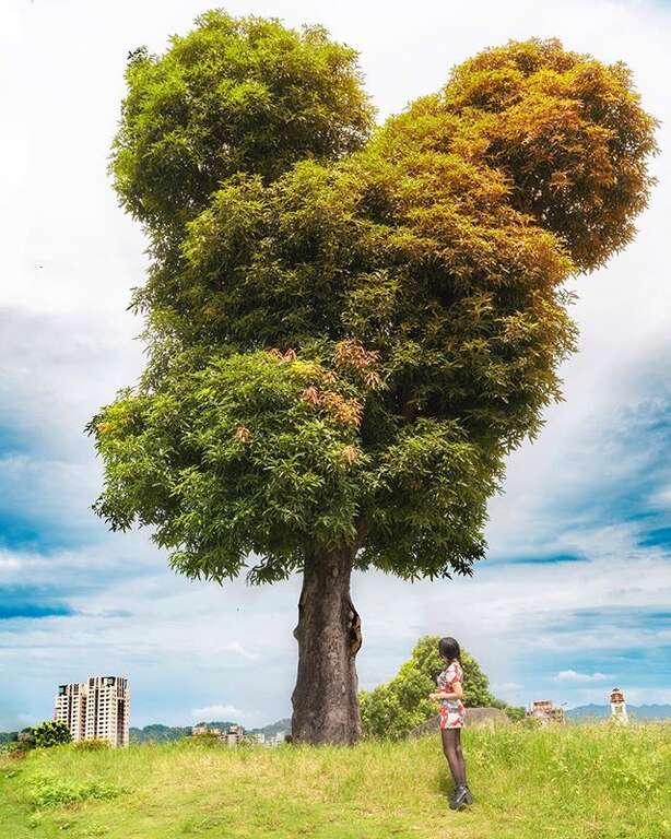 Most trendy! The Classic Photo Spots in Taichung