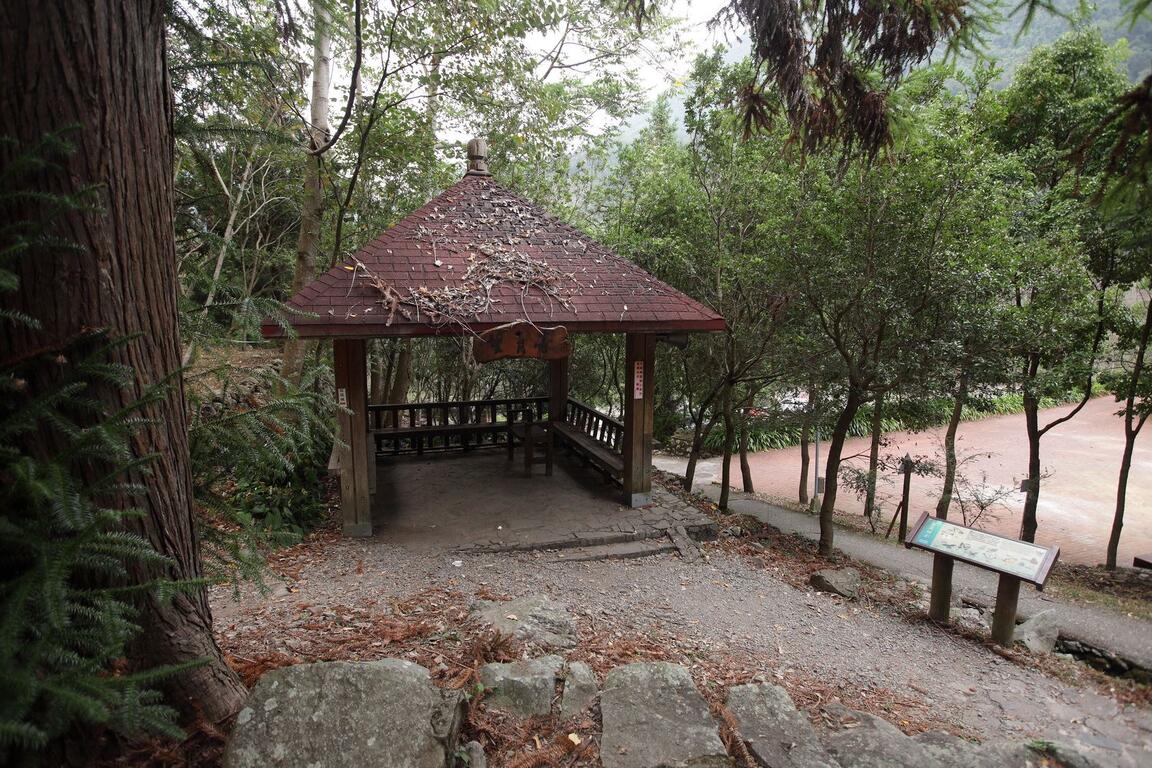 八仙山国家森林游乐区 台中观光旅游网taichung Tourism