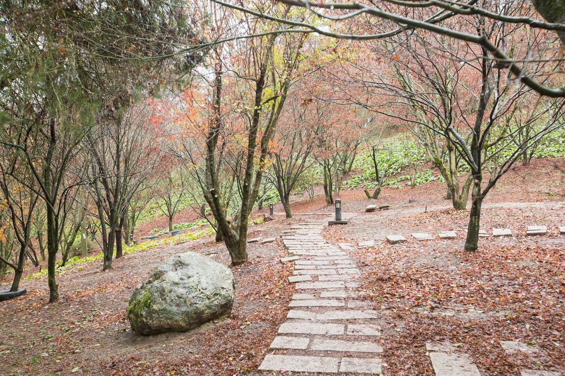 福寿山农场 台中观光旅游网taichung Tourism