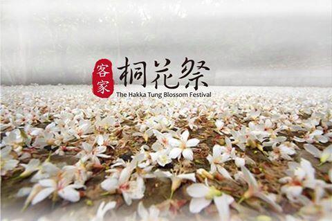 台中市2017客家桐の花祭