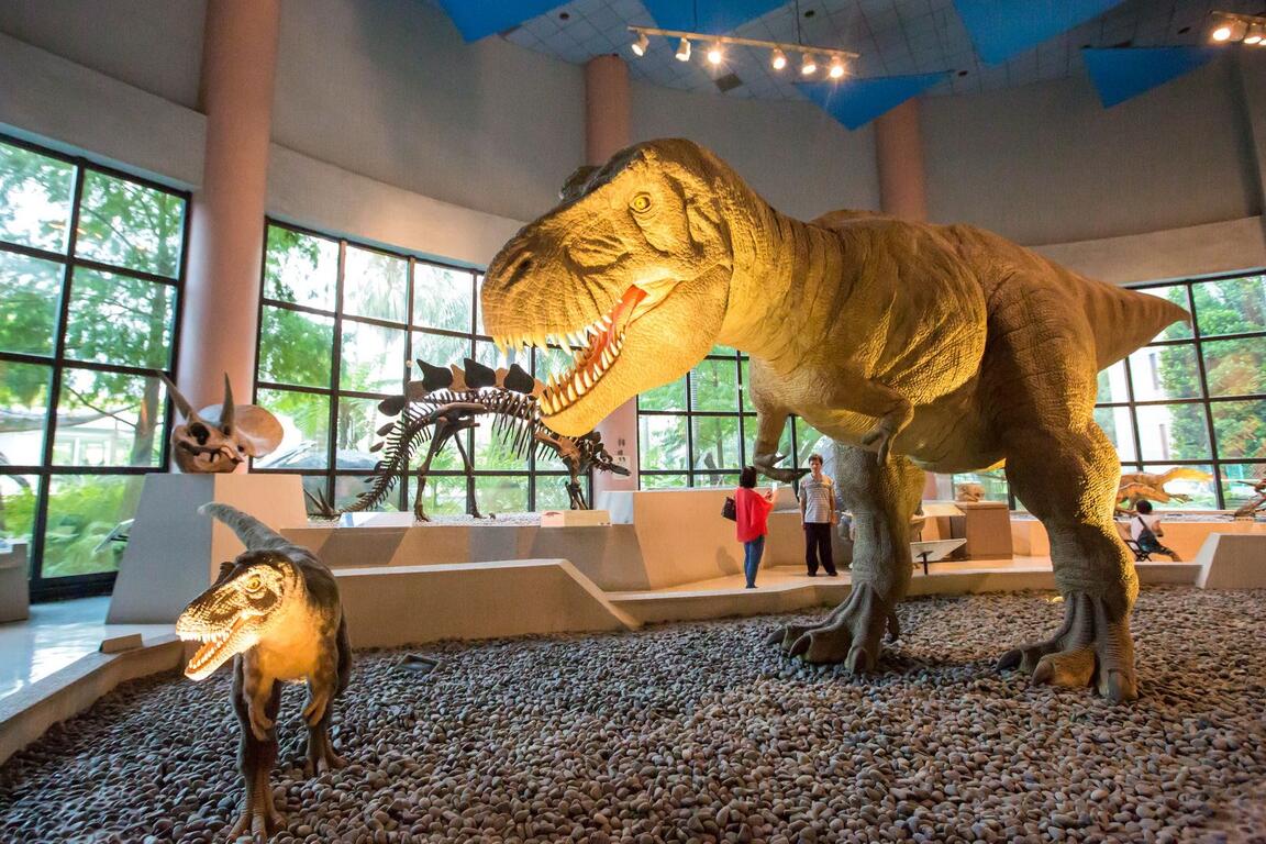 国立自然科学博物馆-恐龙