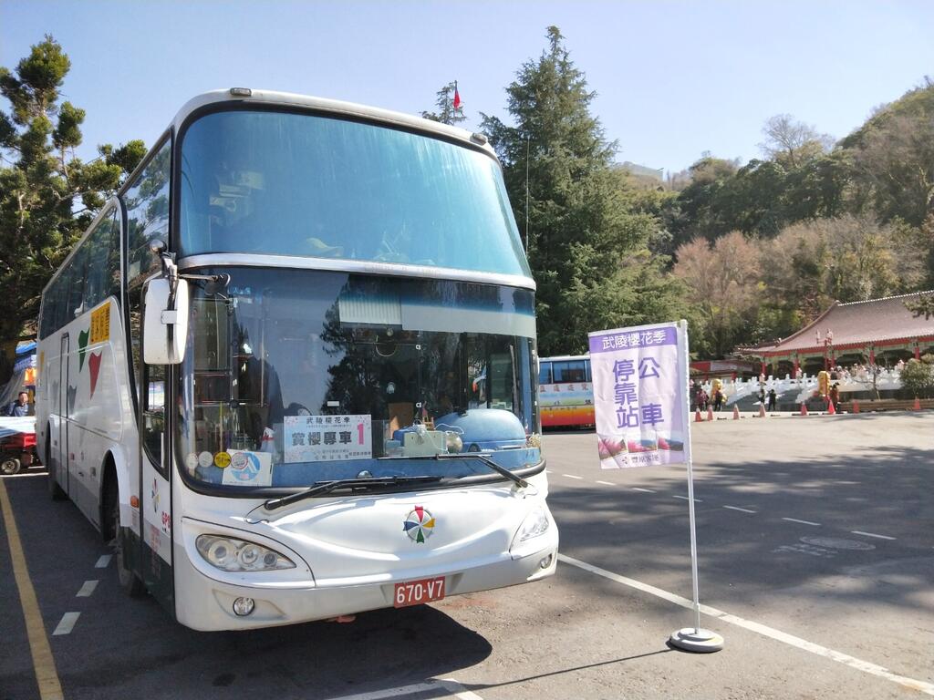 武陵農場賞櫻趣預約 賞櫻專車 前往更方便 臺中觀光旅遊網taichung Tourism