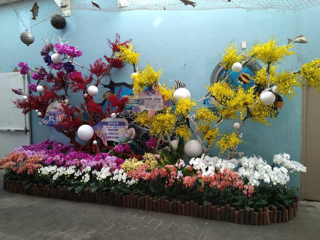 國慶連假好去處來梧棲漁港賞花 逛市集 嘗美食 臺中觀光旅遊網taichung Tourism