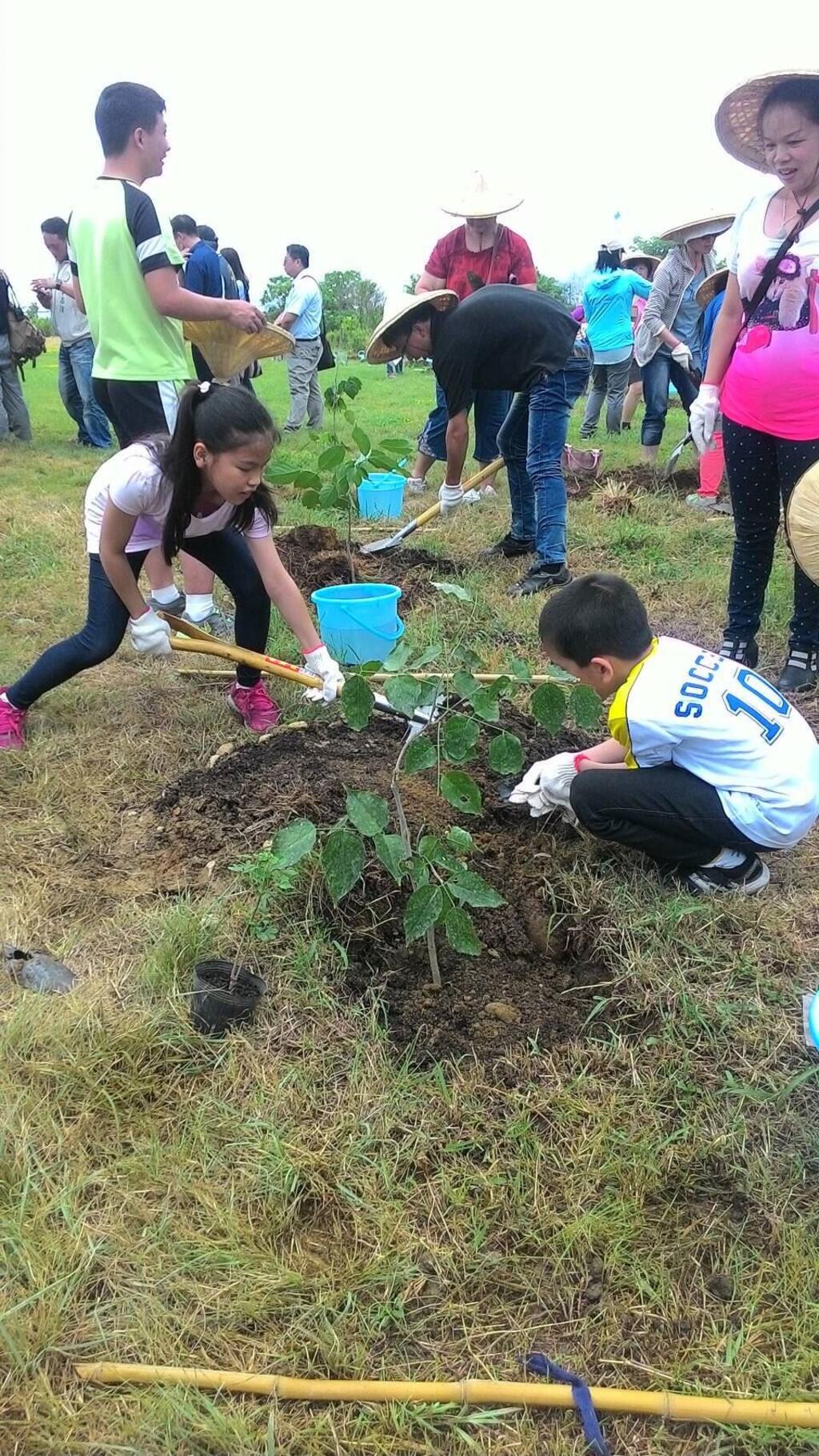 中市七座已封闭垃圾掩埋场变公园绿地 已种适合乔木近千棵