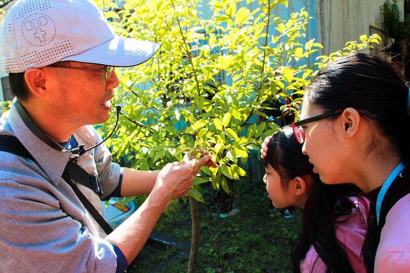 蜘蛛是不是昆虫?到科博馆凤凰谷鸟园「体验」答案 「夜观凤凰谷鸟园的盔甲武士」13日开放报名