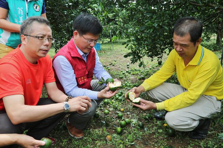 【梅姬台风】林市长关心农损 续用农发基金与三从标准助灾後复耕
