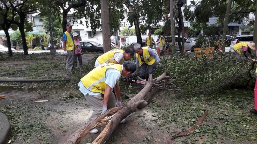 梅姬台风过境 环保志工动员2000人次恢复市容