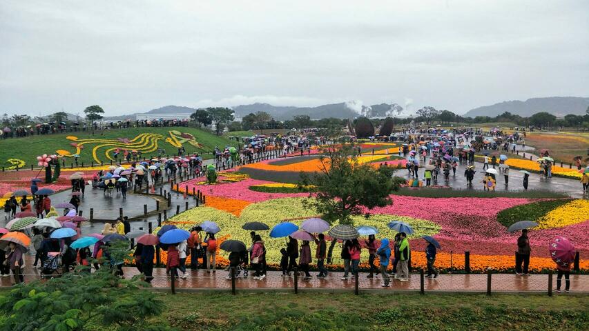 台中國際花毯節落幕 共吸引172萬人次參觀 突破去年紀錄