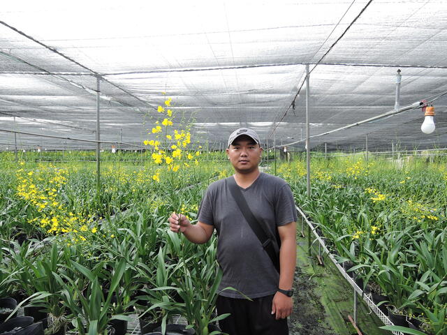 迎接花博 台中花農陳帝緯推廣在地花卉之美