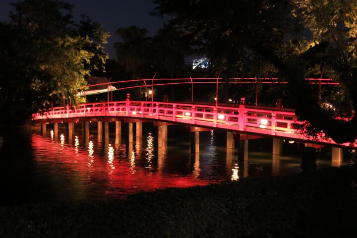 七夕約會新亮點 台中公園夜間湖中宮殿、日式紅鵲橋超浪漫