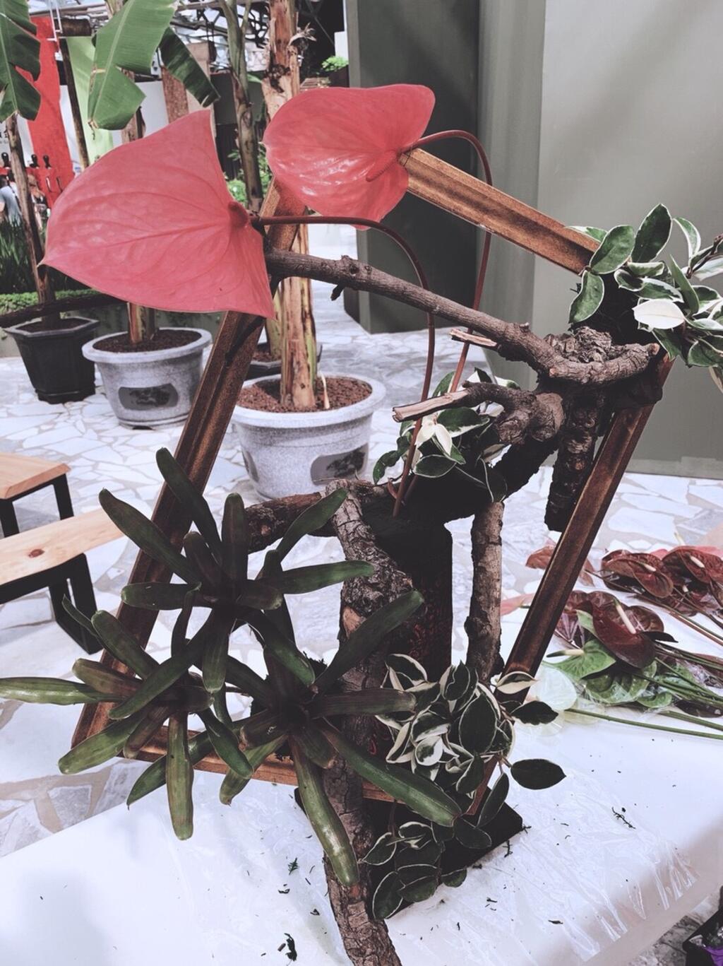 花博外埔園區智農館 火鶴特展即日登場