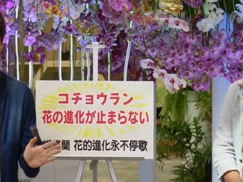 NHK《趣味的园艺》首度海外取景 向日本民众介绍台中花博之美
