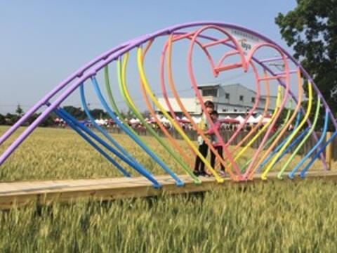 大雅小麥產業文化節登場 4.2公尺高「LOVE」麥墻超吸睛