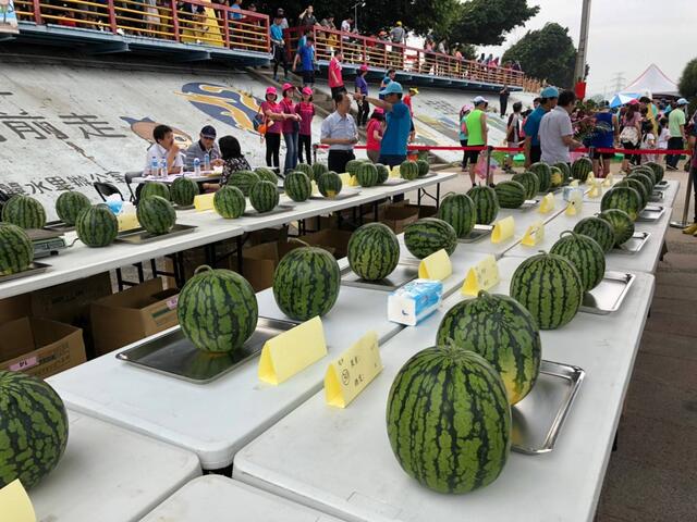 龙井西瓜产业文化节 推广在地美味沁凉西瓜