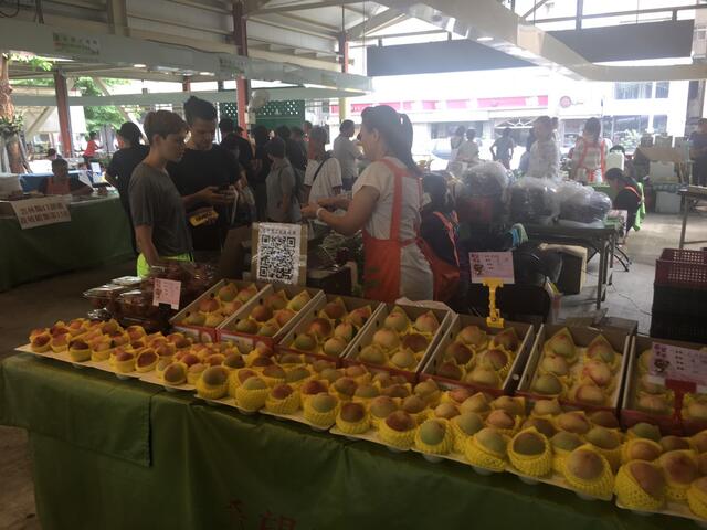 台中市优质葡萄-高接梨-水蜜桃北上展售