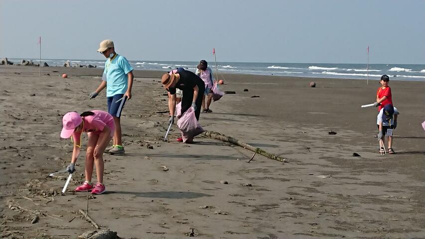 今年-大安海-以净滩揭开序幕-也以净滩落幕