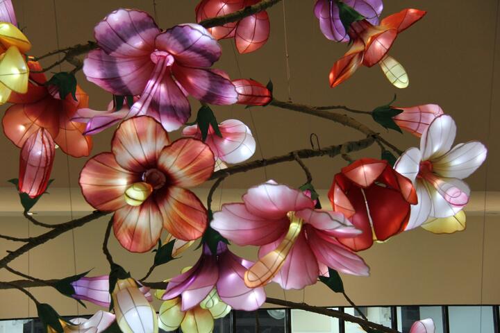 槿綻-以50朵大小不一-各種色彩的花朵螺旋懸吊於大廳-採光玻璃帷幕下高達七米的裝置藝術
