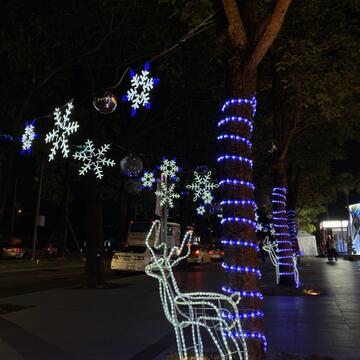 行道樹裝飾耶誕燈飾