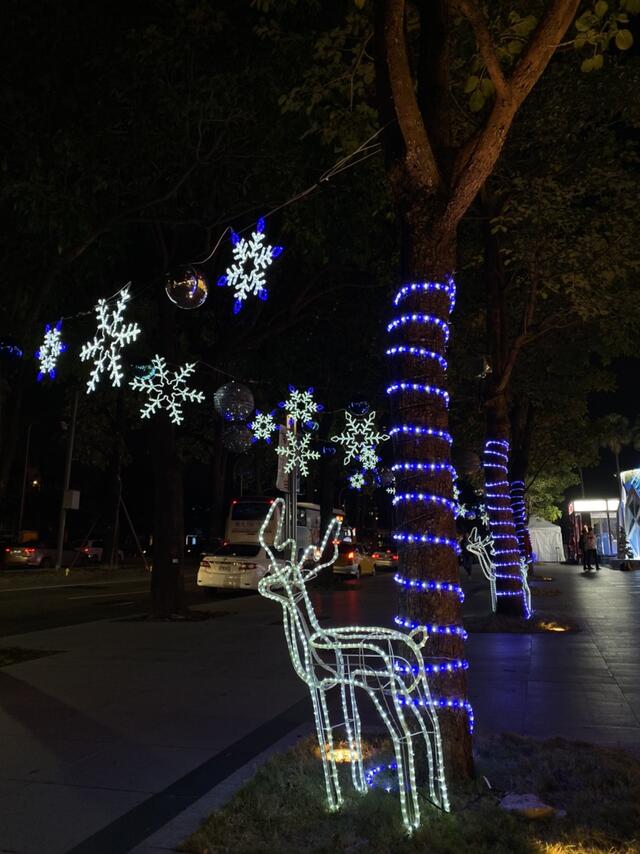 行道樹裝飾耶誕燈飾