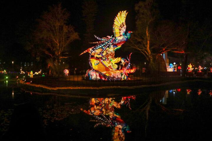 位於国际友谊灯区内的池畔-竖立-百鸟和鸣庆吉祥-花灯-民众叹好漂亮
