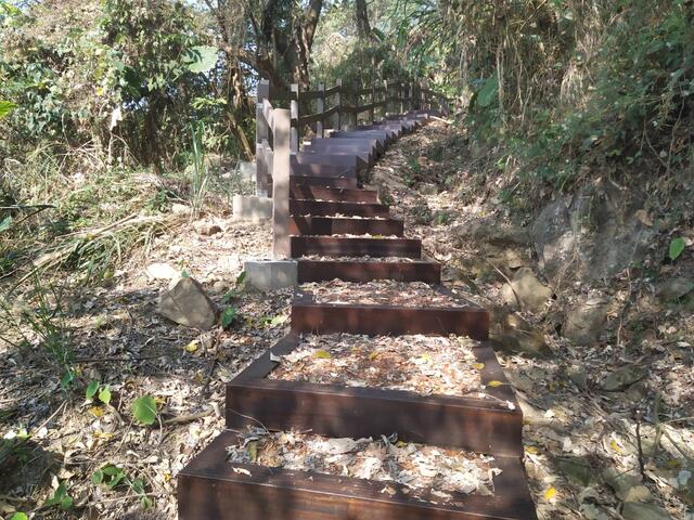 太平區酒桶山登山步道設置透水原木格框階梯完工