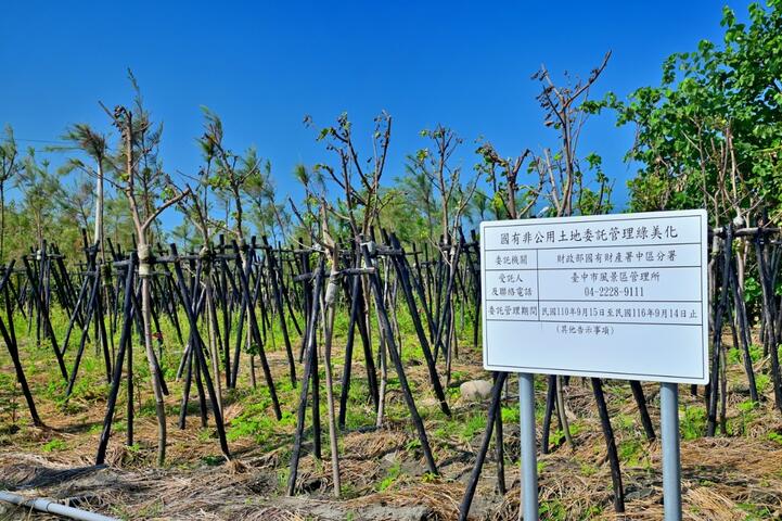 中市觀旅局廣植濱海防風林-打造大安濱海觀景綠森林