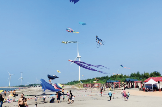 Daan Beach Park Marina Tourism Promotional Campaign