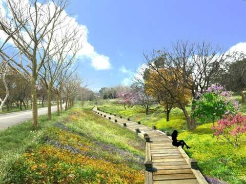 大雅中科公园景观改善示意图