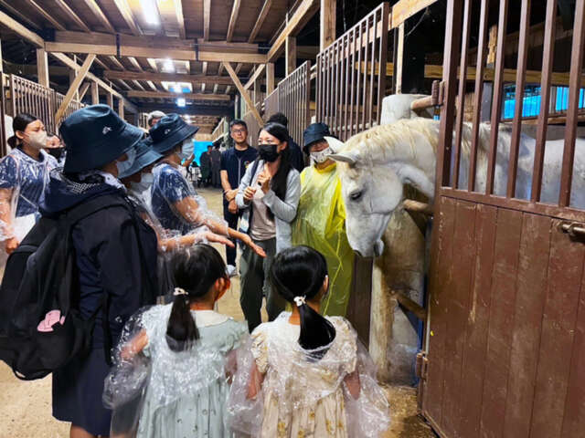 后里马场喂马