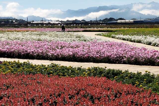 花海景致