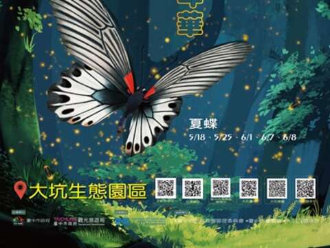 2025大坑蝶螢嘉年華活動海報