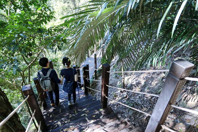 雪山坑登山步道-木栈道_0