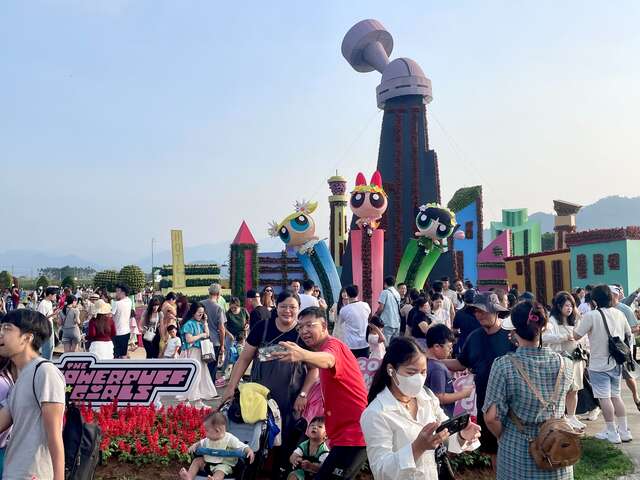 主花毯展演時間總是聚集遊客_0