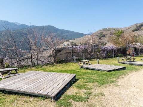 台中合法露營場_0