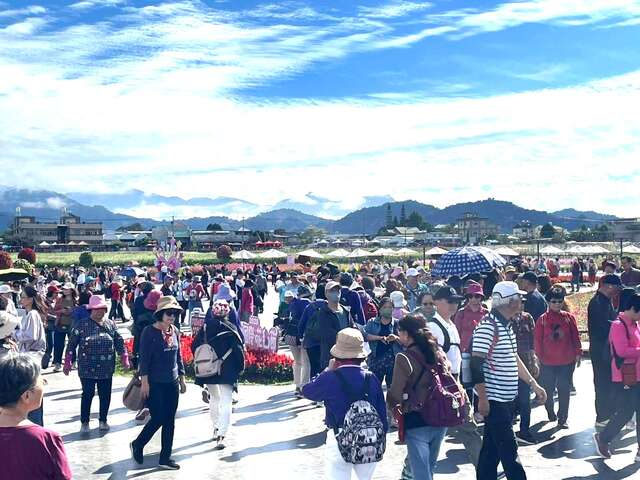 花毯節人潮不斷_0