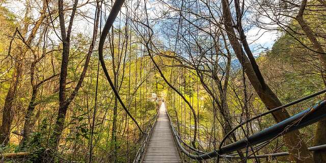 環山獵人步道_0