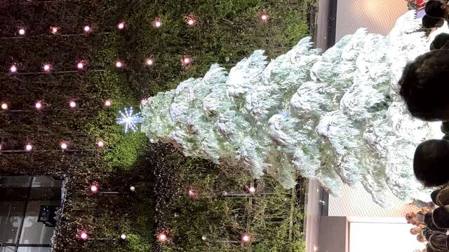 草悟道散發耶誕節氣息-營造浪漫節慶氛圍