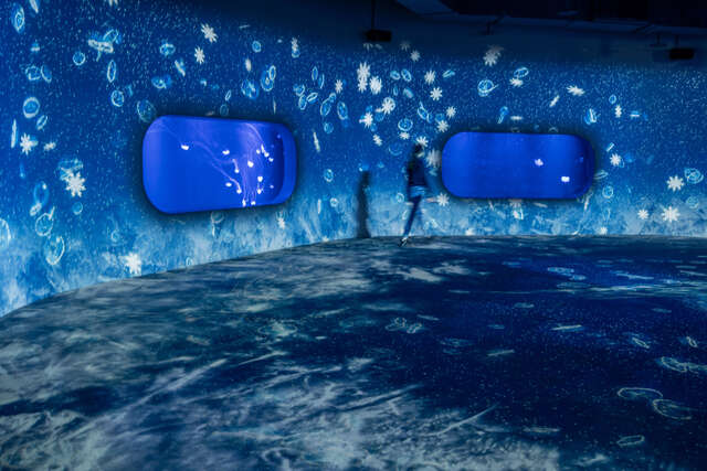 台中海洋館的水母區營造如冰雪奇緣般的晶透氛圍-讓人彷彿踏入夢幻冰宮