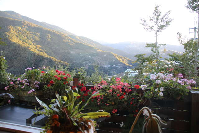 像是深山花境的山谷