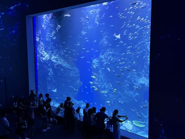 台中海洋館