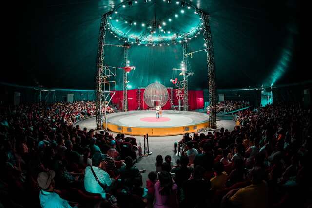 后里馬場全新主題的馬戲團表演-天馬夢幻大馬戲