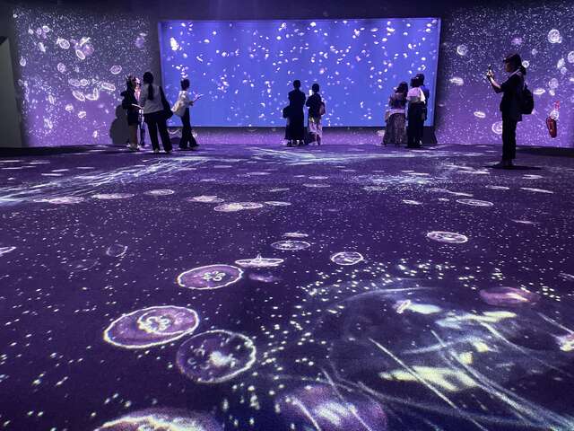 台中海洋館水母小學堂-春節親子景點