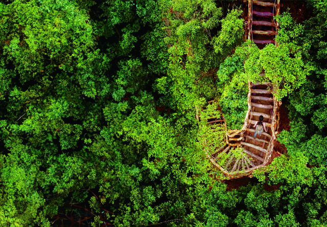 大坑登山步道-春節健行首選