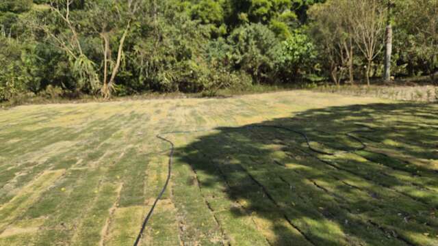 烏日知高圳 步道綠美化空間