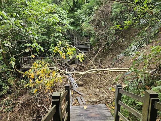 大坑10號登山步道0kplus750邊坡崩坍