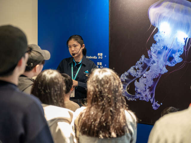 台中海洋馆安排专业导览人员进行解说导览,透过互动式教学让民众了解水母构造与海洋生态知识。