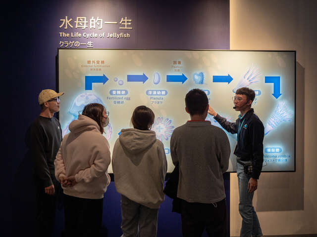 台中海洋馆透过导览解说带领民众认识水母的一生与海洋生态,结合科教与展示,让参观民众更深入了解海洋生物知识。
