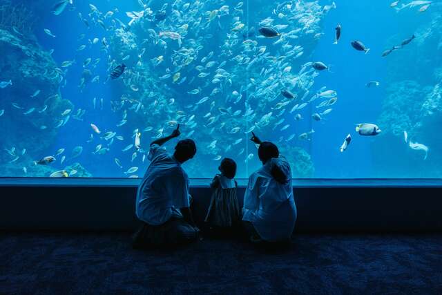 台中海洋馆募集图书-免费体验海洋世界