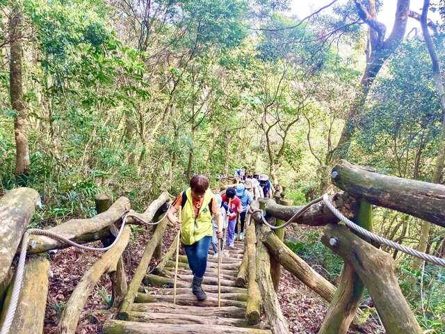 森林禅行-脚步冥想