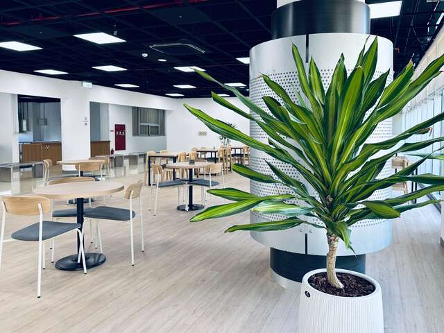 舒适休憩空间